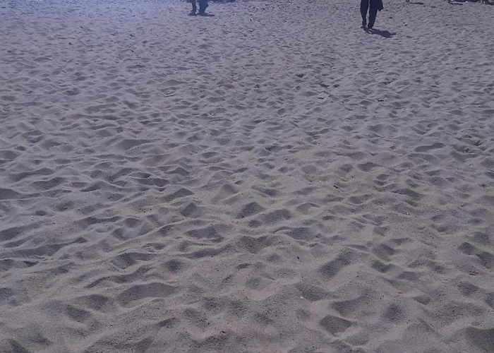 Daire Marilaura's House *